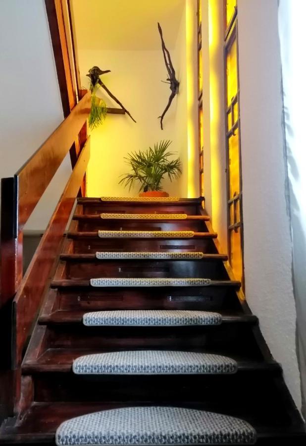 הוילה וטרה דורניי Apartament Sarco מראה חיצוני תמונה